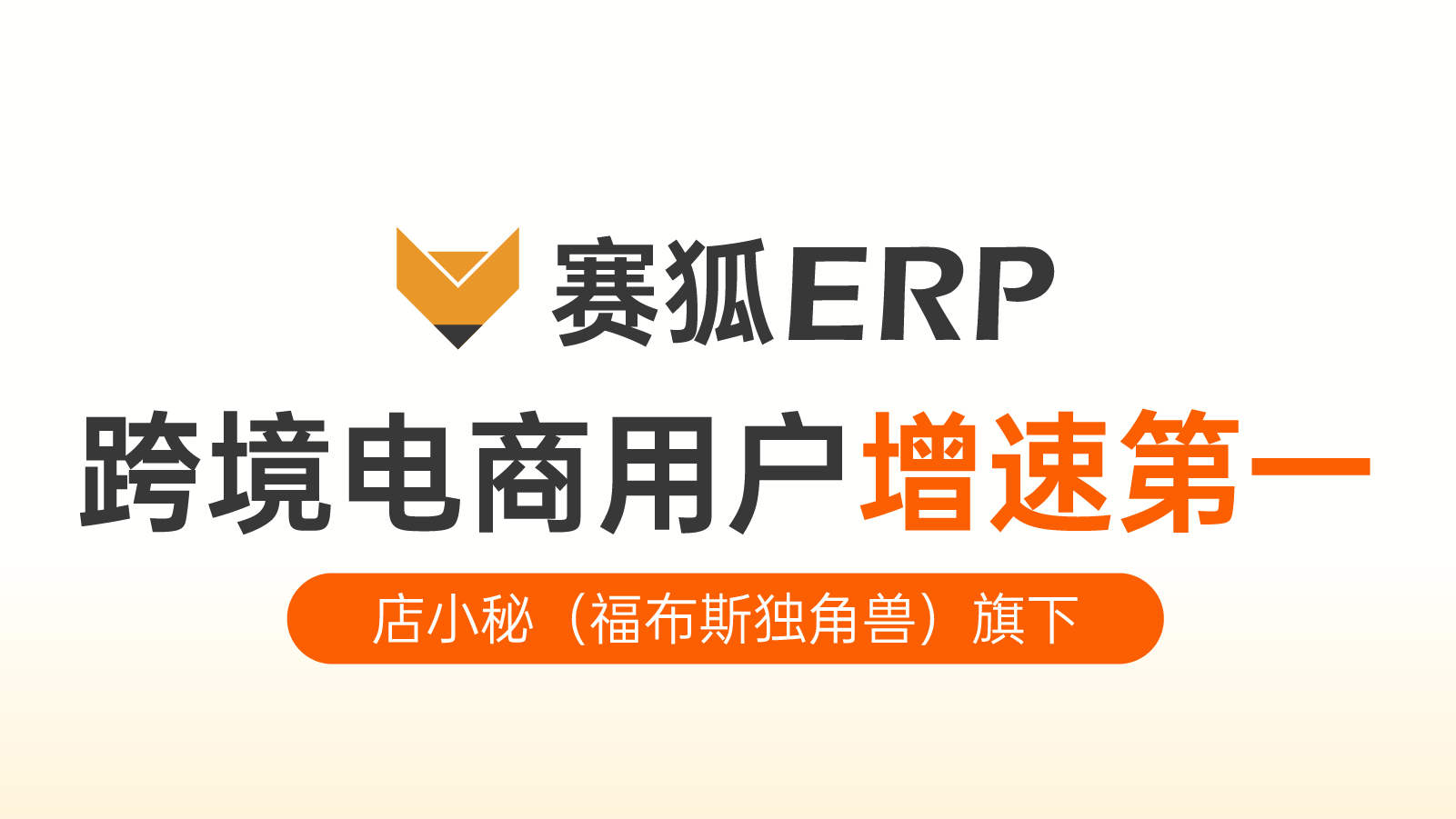 赛狐ERP